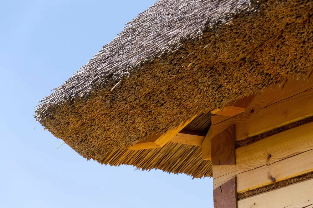 Architecture vernaculaire
