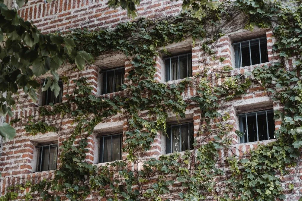 Façades en matériaux biosourcés
