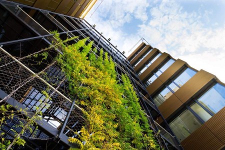 Architecture verte : intégrer des façades durables dans les constructions de demain